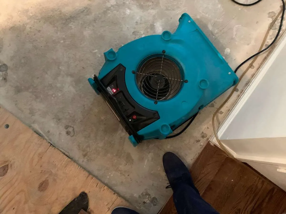 Air mover drying subfloor during Commercial Water Damage Restoration in Hollidaysburg